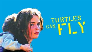 Turtles can fly review